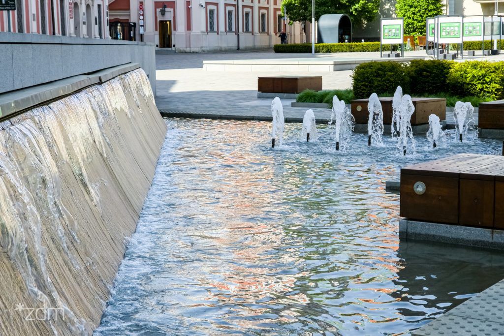 Fot. ZDM Poznań