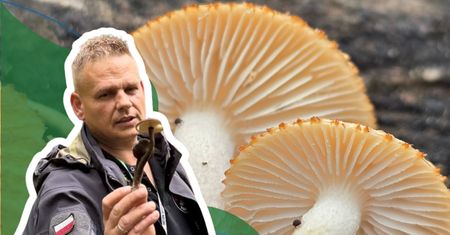 Ekspert podkreśla, że jest ekstremalnie rzadki. Pojawił się Polsce po 126 latach