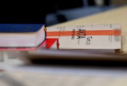 Łódzkie. Matka odzyskała prawo do opieki nad jedenaściorgiem dzieci