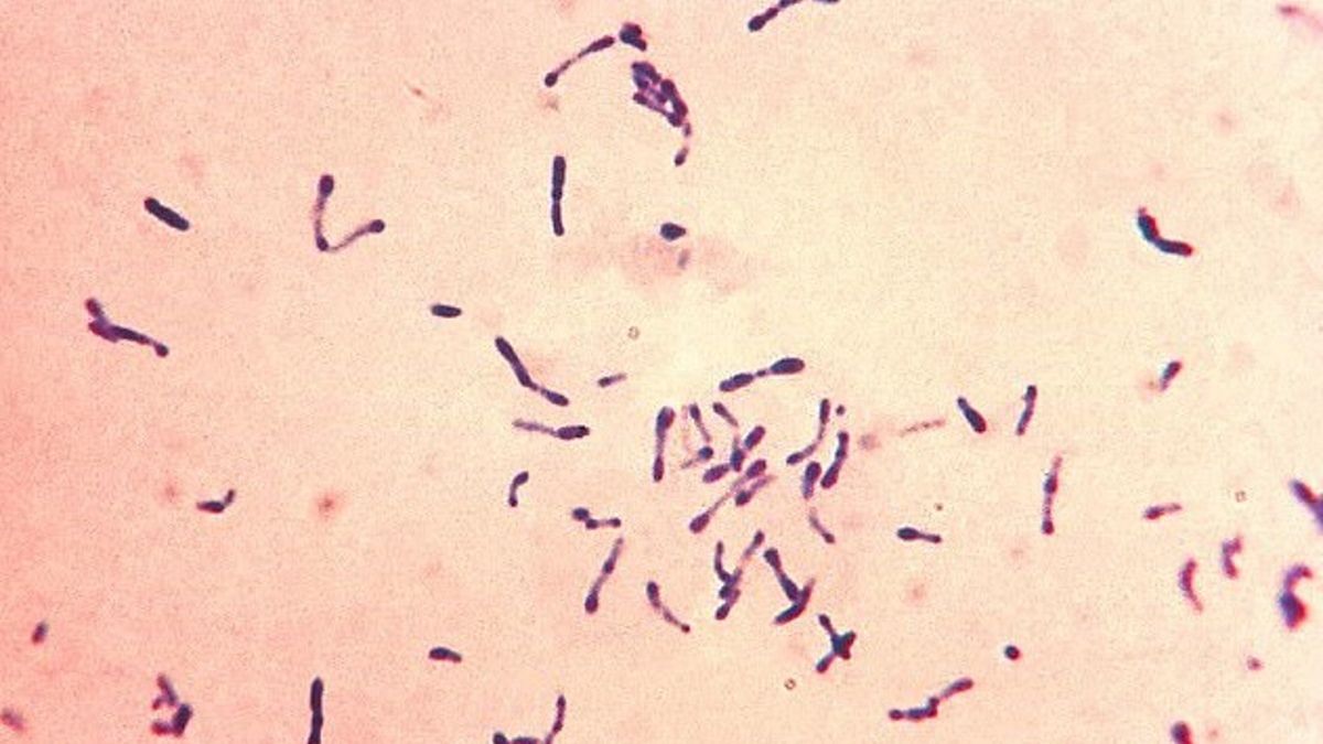 Błonica jest poważnym zagrożeniem