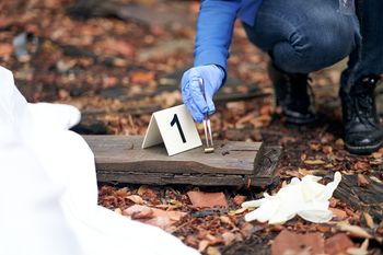 Co wiesz o pracy detektywa? Krzyżówka pełna zagadek