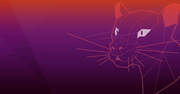 Ubuntu 20.04 "Focal Fossa" już jest! Oto, co przygotowali twórcy