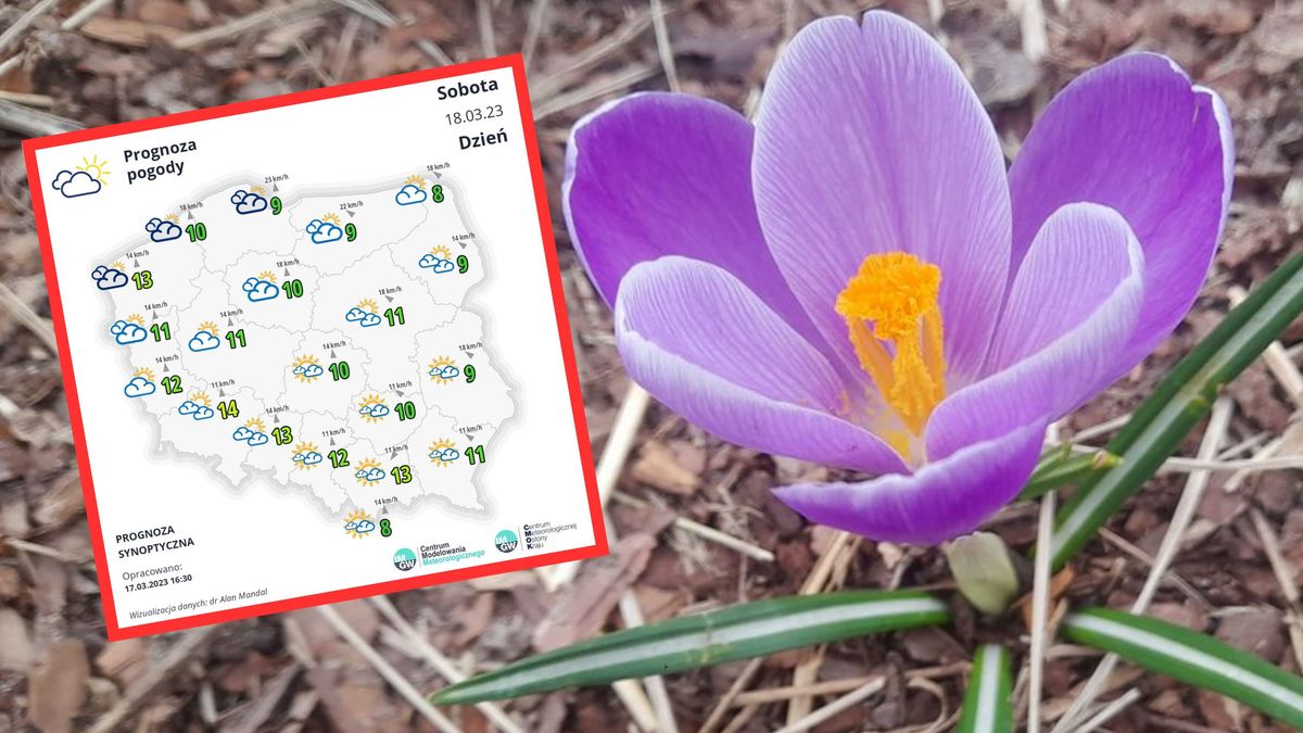 Świetne wieści pogodowe z IMGW