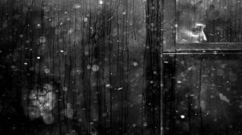 Sony World Photography Awards 2010 - Polak nagrodzony 1