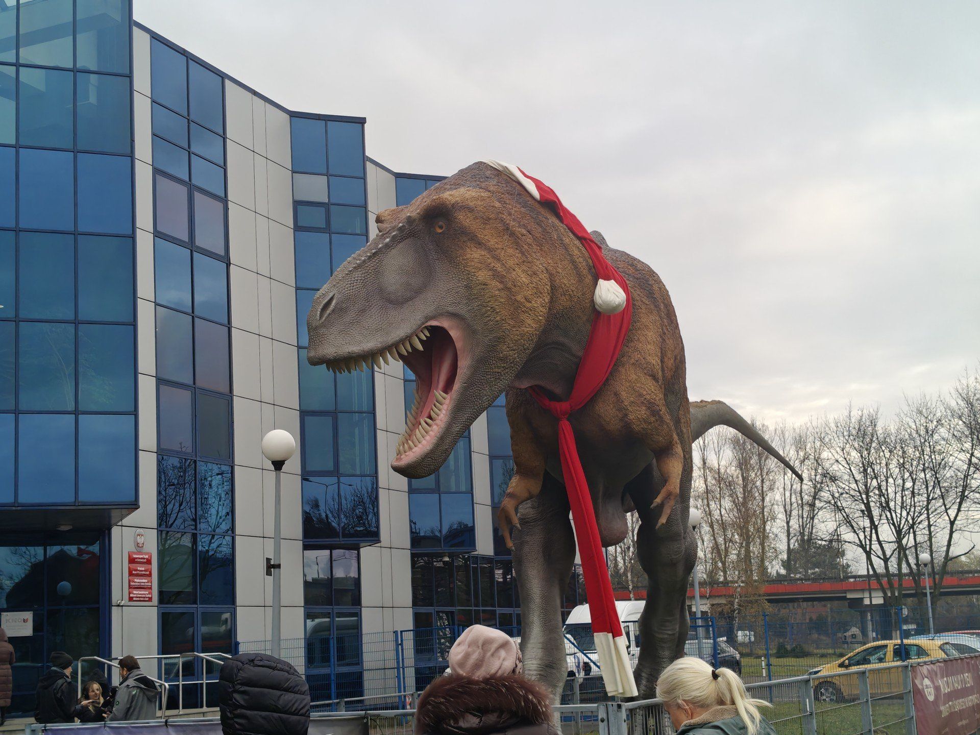 Przewijaj w dół, aby przejść do następnych zdjęć!