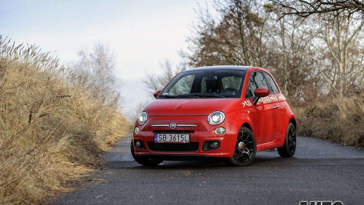 Zdjęcie ilustracyjne do artykułu