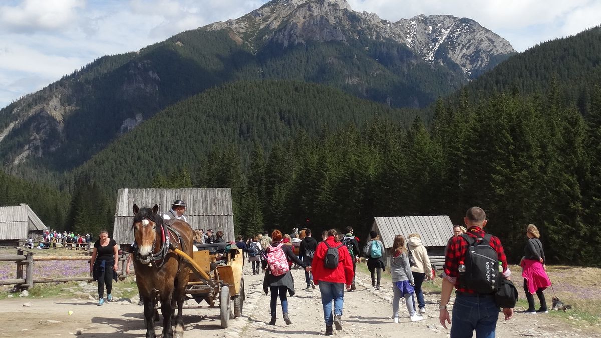 Dolina Chochołowska jest jedną z najpopularniejszych w Tatrach 