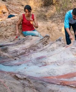 Historyczne odkrycie w Portugalii. W jednym z ogródków odnaleziono szkielet dinozaura
