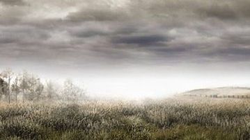 Swojskie klimaty na stronie Kojimy 1