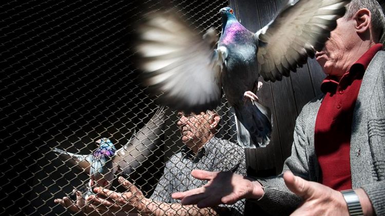 SocialDocumentary.net: wygrana Tomasza Tomaszewskiego 1