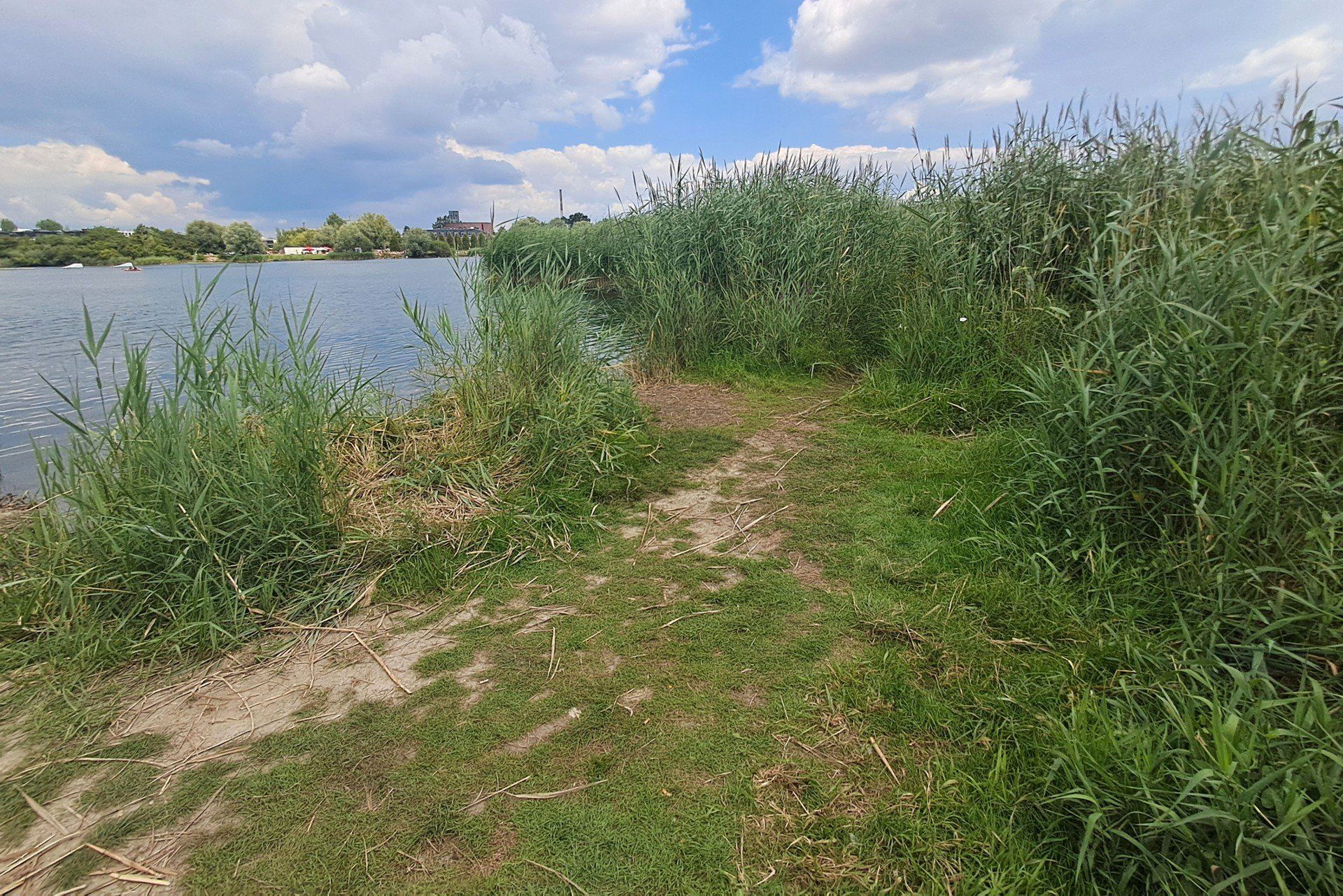 Plaża nudystów w Krakowie 