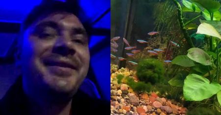 Wpatrzony w akwarium Daniel Martyniuk duma nad własnym losem i cytuje wielkiego mistrza: "Nie hejtują dobrych, hejtują WYBITNYCH"