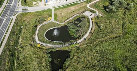 Wycięli drzewa pod zbiornik retencyjny, ale prace ruszą od nowa. Protest ekologów