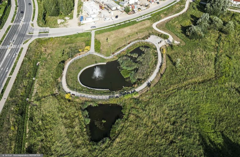 Wycięli drzewa pod zbiornik retencyjny, ale prace ruszą od nowa. Protest ekologów