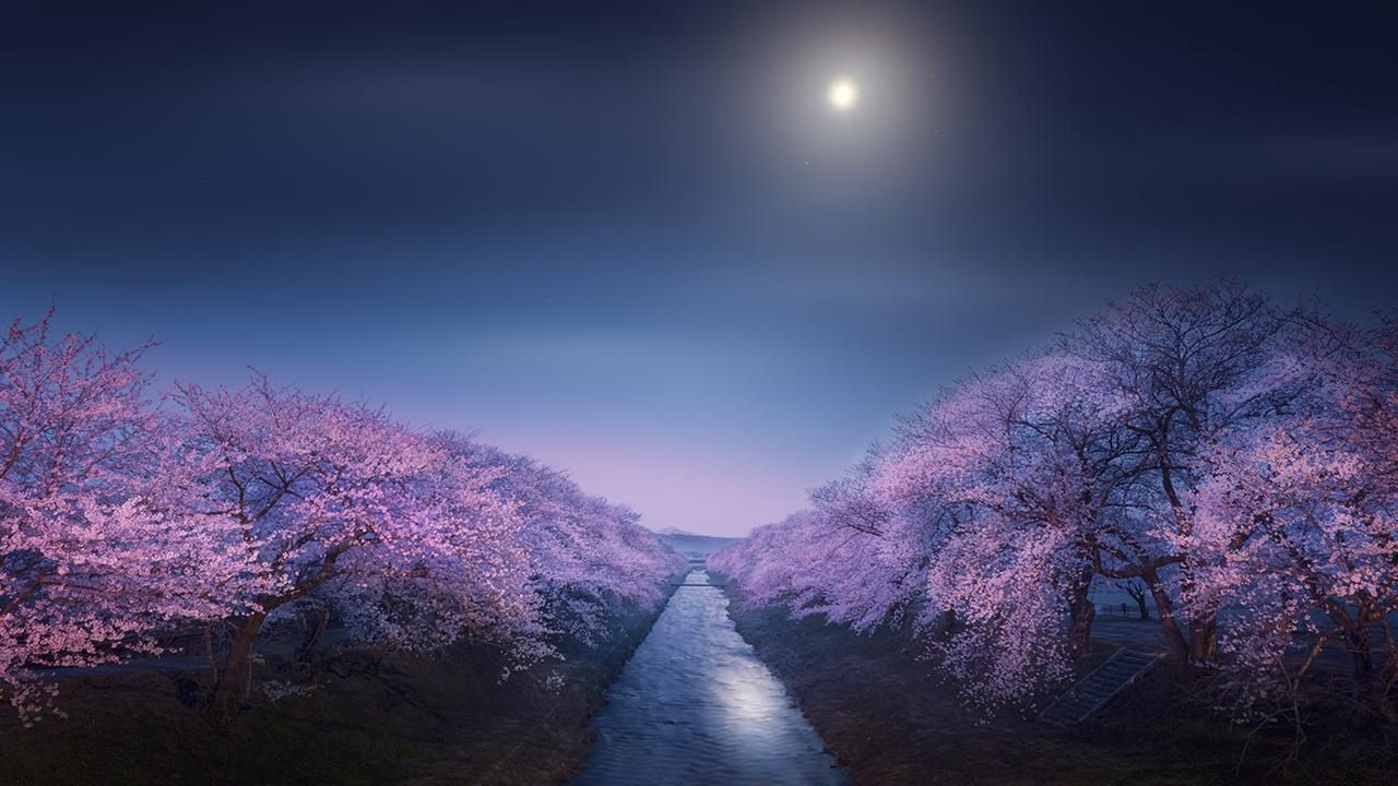 Astronomy Photographer of the Year 2022