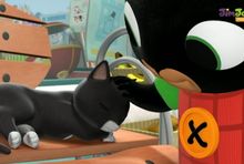 Kanał Polsat JimJam