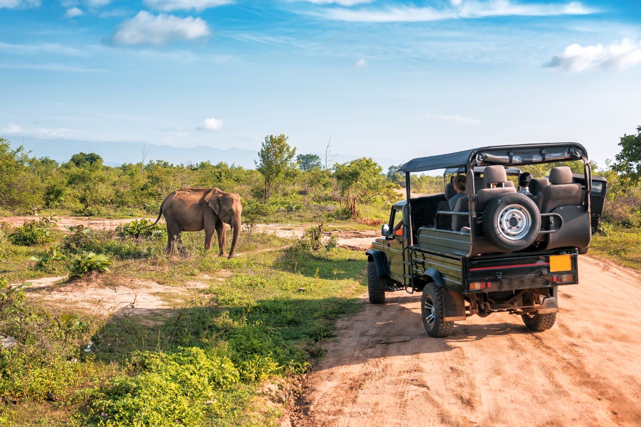 Podczas safari w Kenii można zobaczyć tzw. Wielką Piątkę