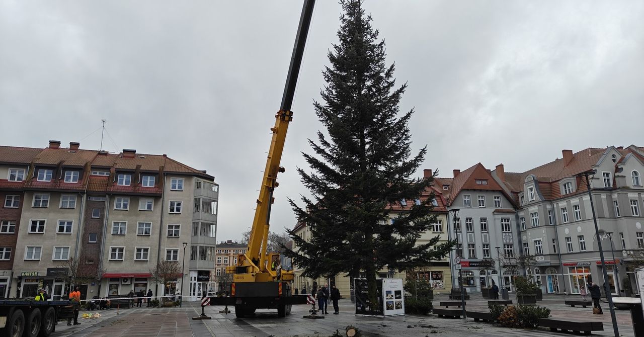 Szczecinek: Na Placu Wolności pojawiła się choinka