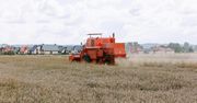 Skoszą zboża i zapewnią transport. Ile kosztują usługi na czas żniw?