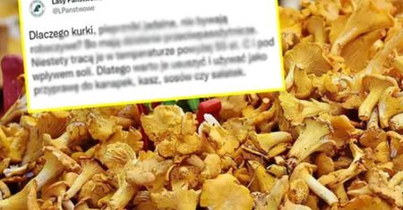 Nie smaż i nie sól kurek. Leśnicy wskazują powód. Zaskoczeni?
