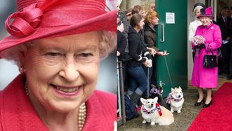 Pełne luksusu życie psów królowej Elżbiety II: prywatny apartament, wykwalifikowani lokaje, wykwintne dania serwowane przez kucharzy