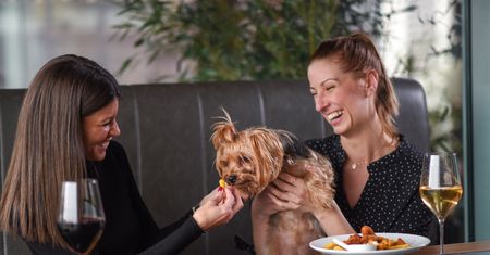 Czy można iść z psem do restauracji? Sanepid wydał komunikat
