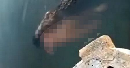 Sceny grozy w Meksyku. Świadkowie nie wierzyli własnym oczom