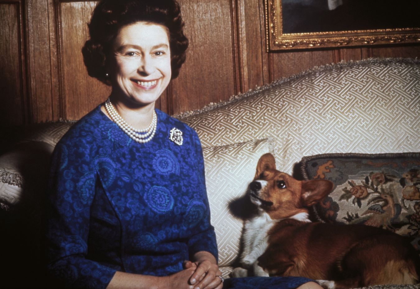 Królowa Elżbieta z corgi