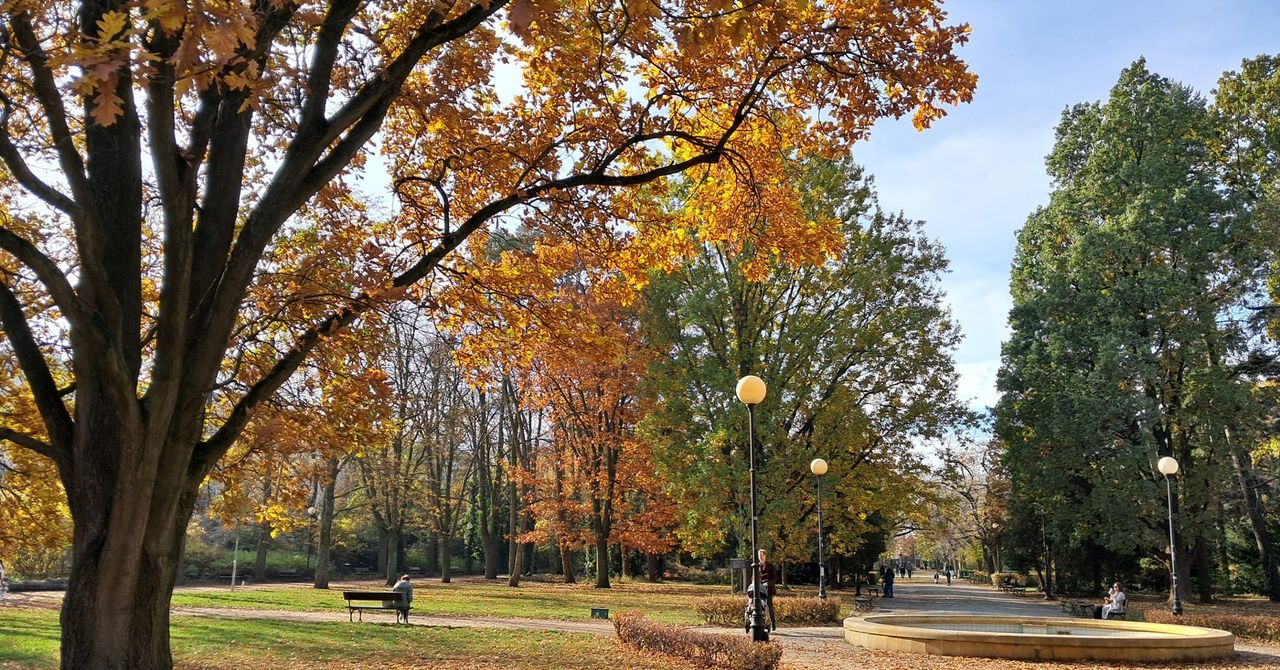 Warszawski park zachwyca w jesiennej odsłonie. Miejsce idealne na spacer o każdej porze