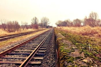 Tysiące minut opóźnień przez zwierzęta i agrowłókninę! PKP PLK pozywa rolników!