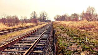 Tysiące minut opóźnień przez zwierzęta i agrowłókninę! PKP PLK pozywa rolników!