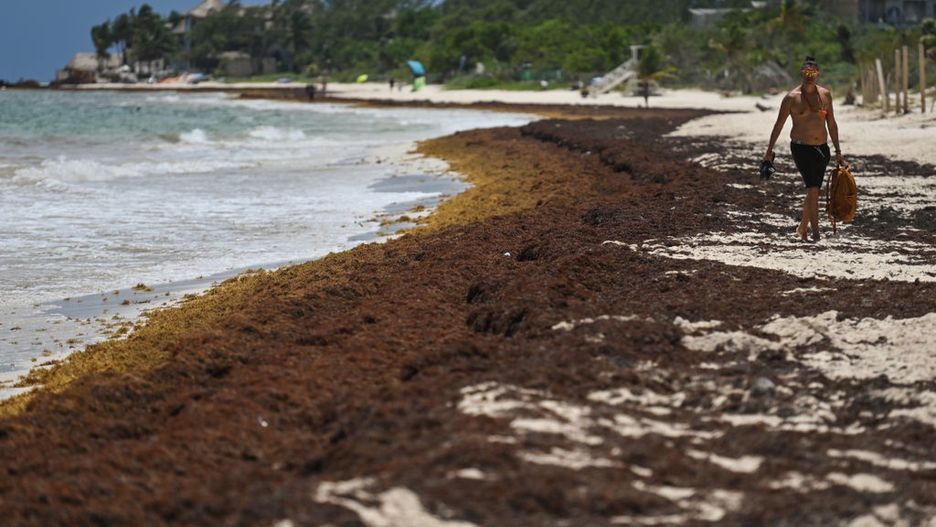 Plaża Punta Esmeralda w Playa del Carmen w marcu 2022 roku