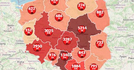 Koronawirus w Polsce. Mapa pokazuje, gdzie odnotowano najwięcej zarażeń