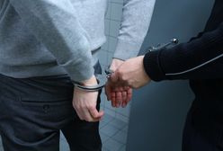 Śląsk. Pedofil wrócił z Wielkiej Brytanii. Usłyszał zarzut zgwałcenia niespełna 15-letniej dziewczynki