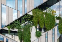 Rekordowy rok. Tylu metrów kw. nie wybudowano od prawie 10 lat