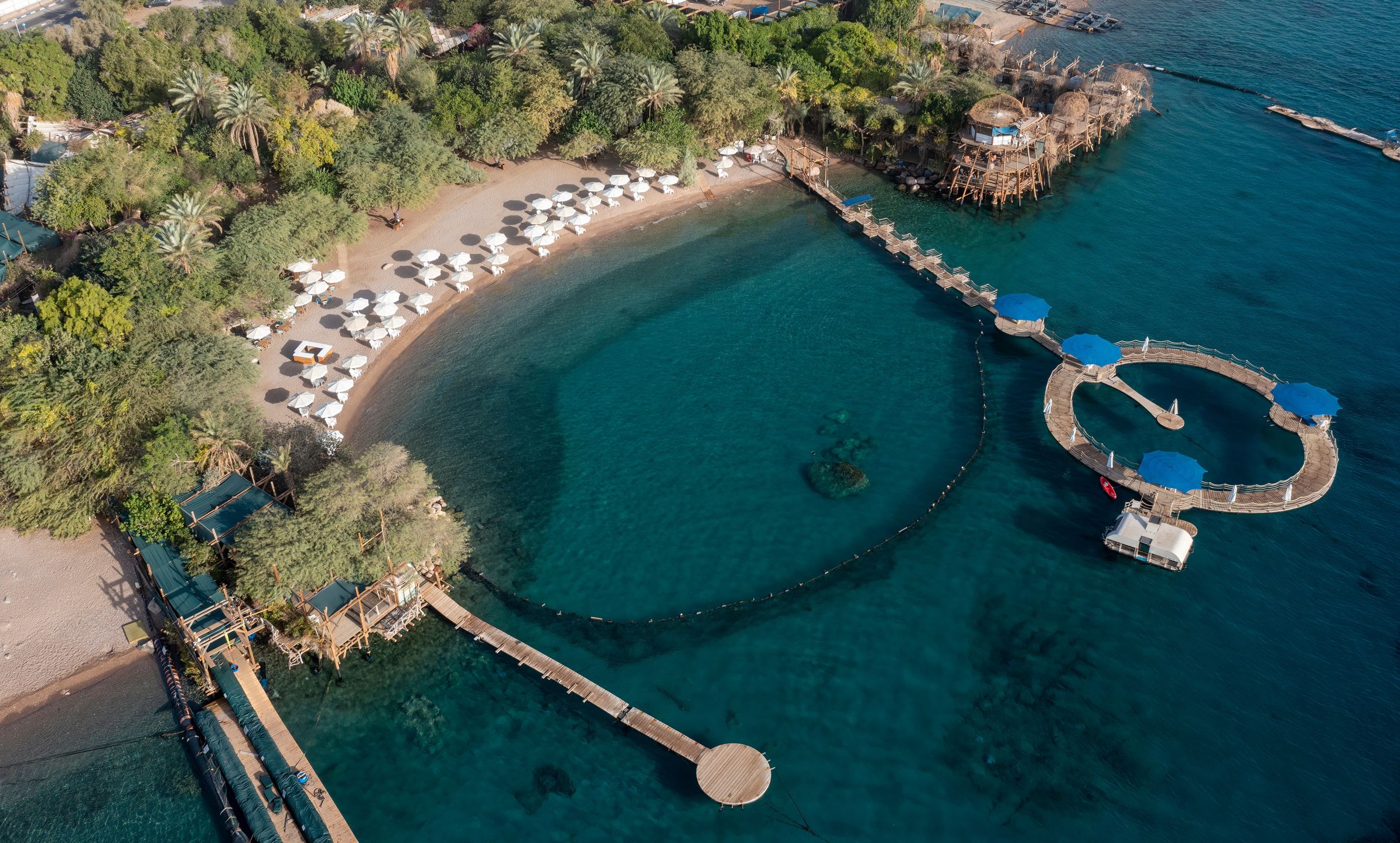 Dolphin Reef 