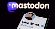 Co to jest Mastodon? Serwis okrzyknięty alternatywą dla Twittera zyskuje na popularności, a Musk z niego kpi