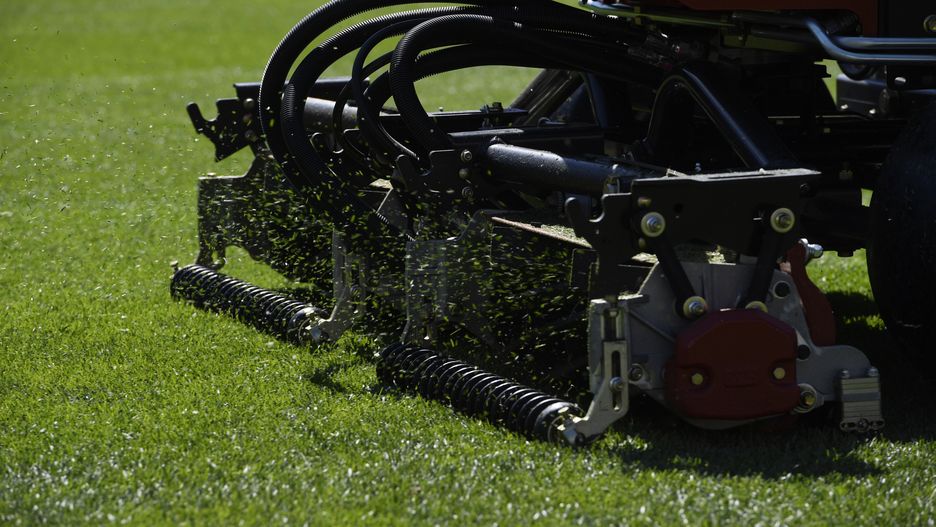 Warszawa. Trawniki nie będą koszone przez najbliższych kilka tygodni. Zdjęcie ilustracyjne