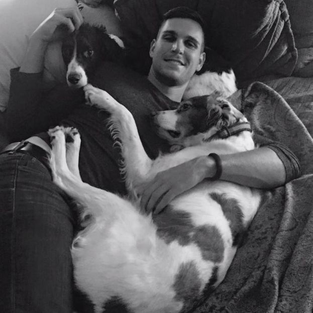 Obraz