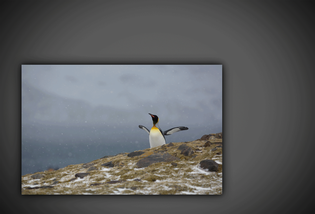 Snapseed 2.0 - nowe filtry, narzędzia, pędzle i możliwości 4