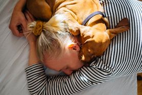 Pies śpi przy twojej głowie? Ma ważny powód