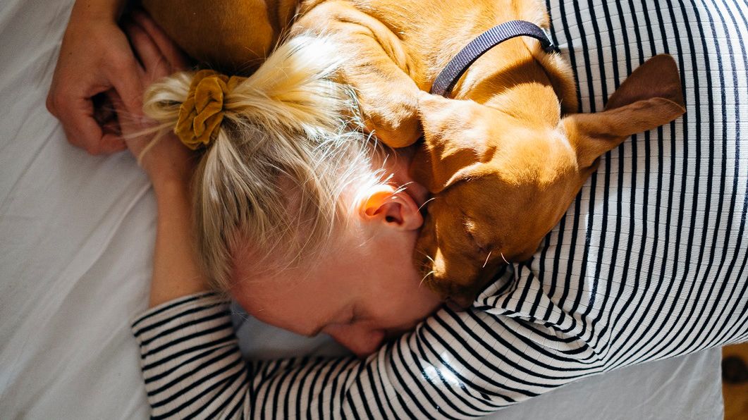 Dlaczego pies zasypia przy głowie właściciela? Ma ku temu ważny powód