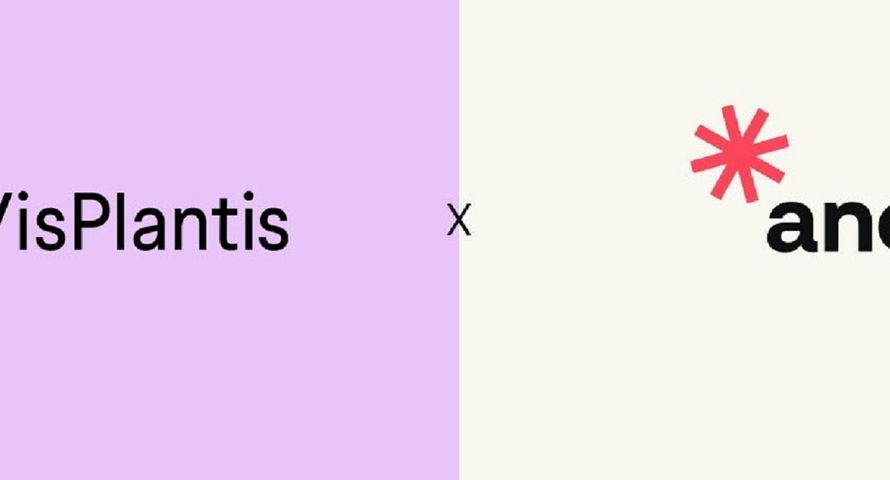 Vis Plantis w gronie klientów agencji Ancy