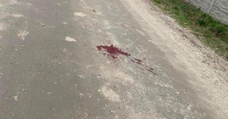 Czarnym BMW rozjechał małego pieska na oczach dzieci. "Nawrócił i wjechał w psa"