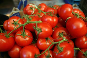 Dlaczego pomidory 'Black Cherry' rosną wolno w czerwcu? Ogrodnicy zauważają pierwsze niepokojące objawy w trakcie owocowania
