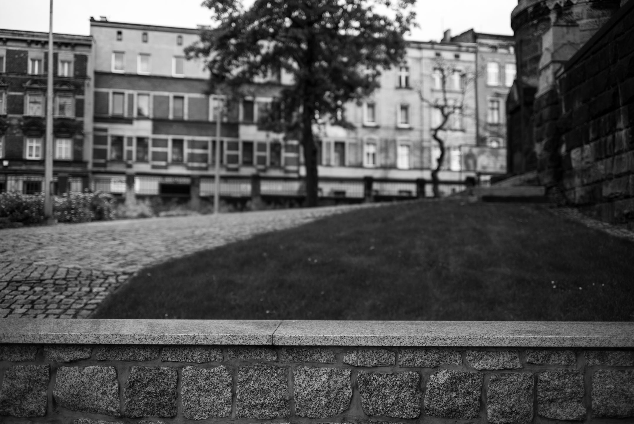 Trzydzieści pięć milimetrów najlepszej klasyki dla bezlusterkowców - Zeiss Biogon ZM 35 mm f/2 26