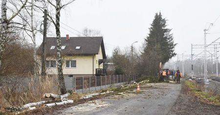 Sławków. Wycinka drzew, mieszkańcy protestują
