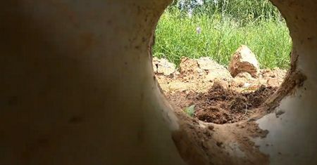 To się dzieje na granicy z Białorusią. SG opublikowała raport