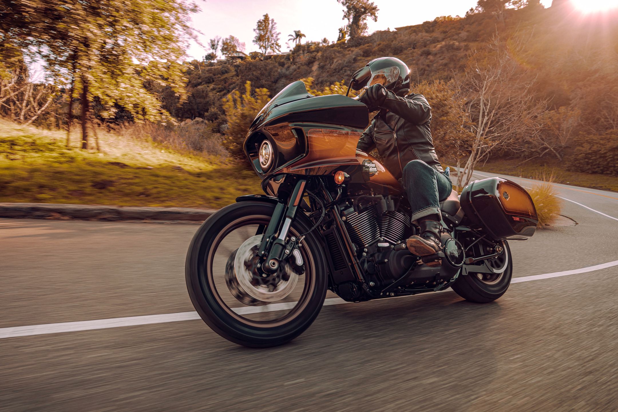 Harley-Davidson Low Rider ST Enthusiast Tobacco Fade
