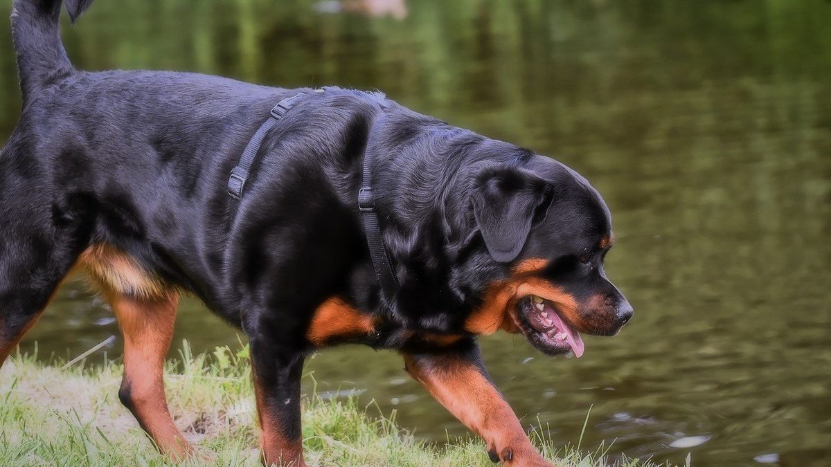 Zdjęcie ilustracyjne